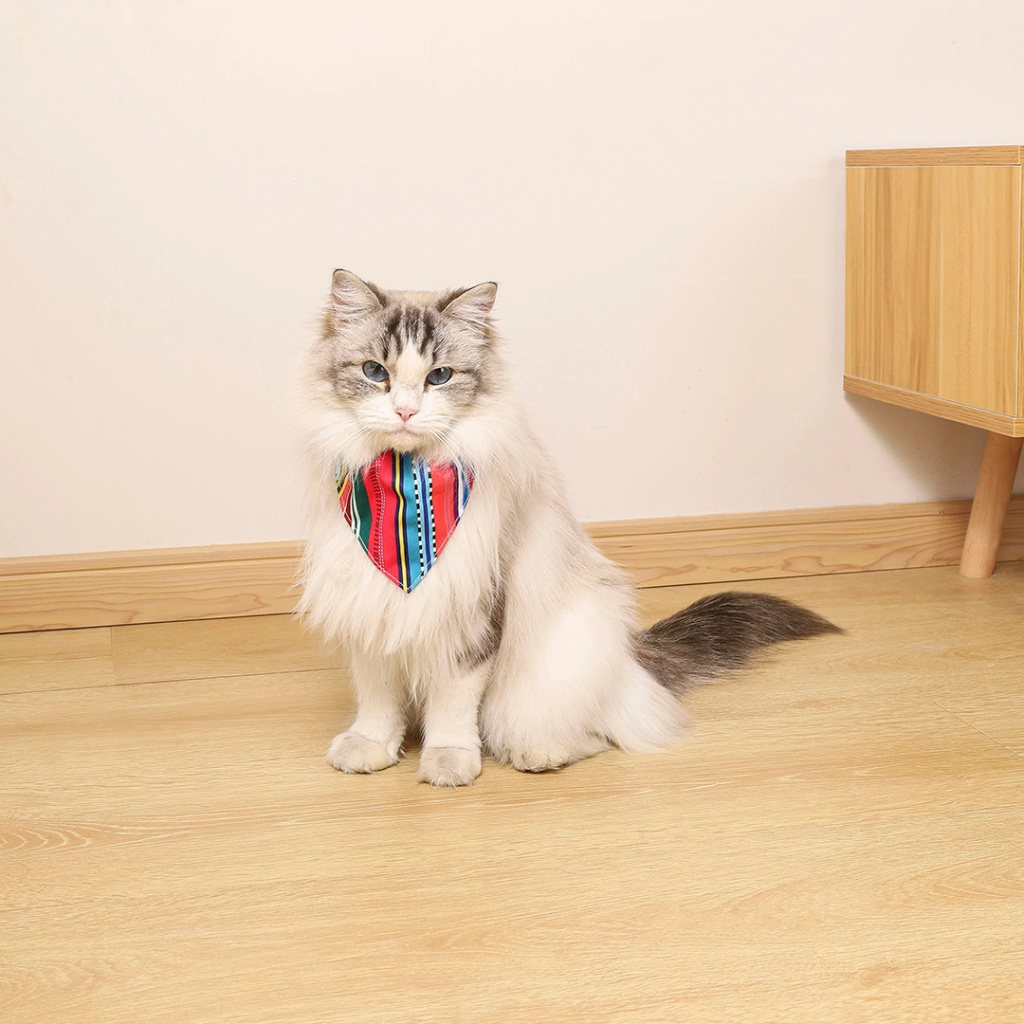 M-Pets Urban Style Jazz Bandana Boyun Tasması 15-25cm [XS]