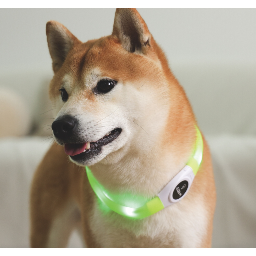 M-Pets Flash Led Köpek Boyun Tasması 35cm (Yeşil) [S]