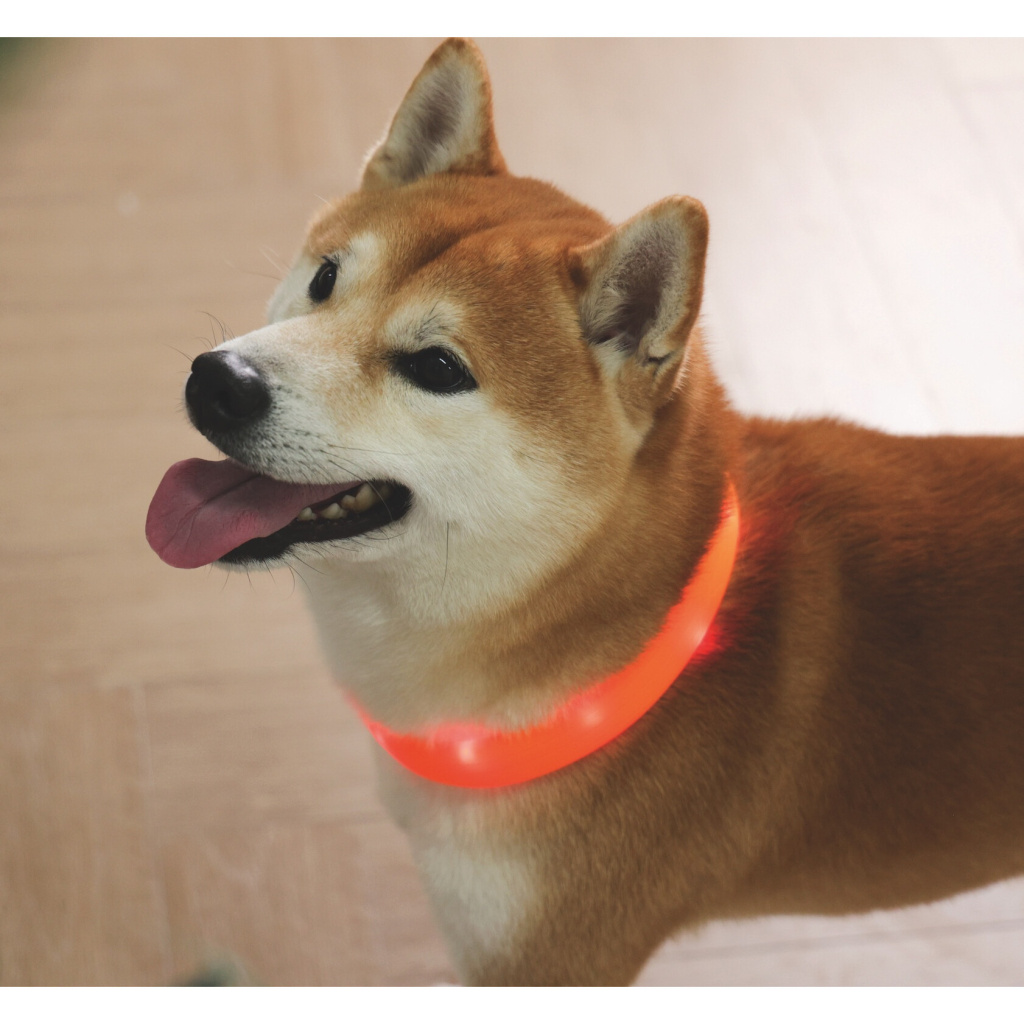 M-Pets Flash Led Köpek Boyun Tasması 35cm (Turuncu) [S]