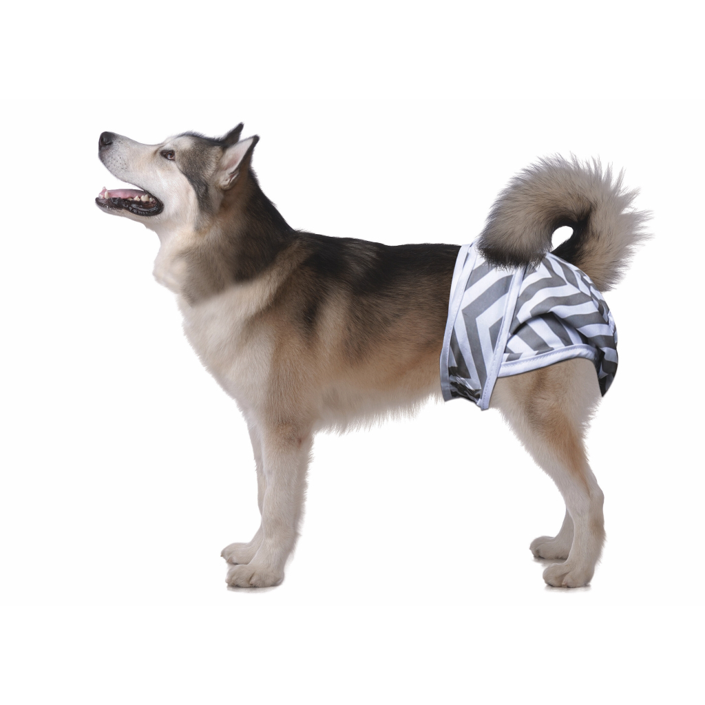 M-Pets Diaper Dişi Köpekler İçin Yıkanabilir Külot Bez (2'li) [XL]