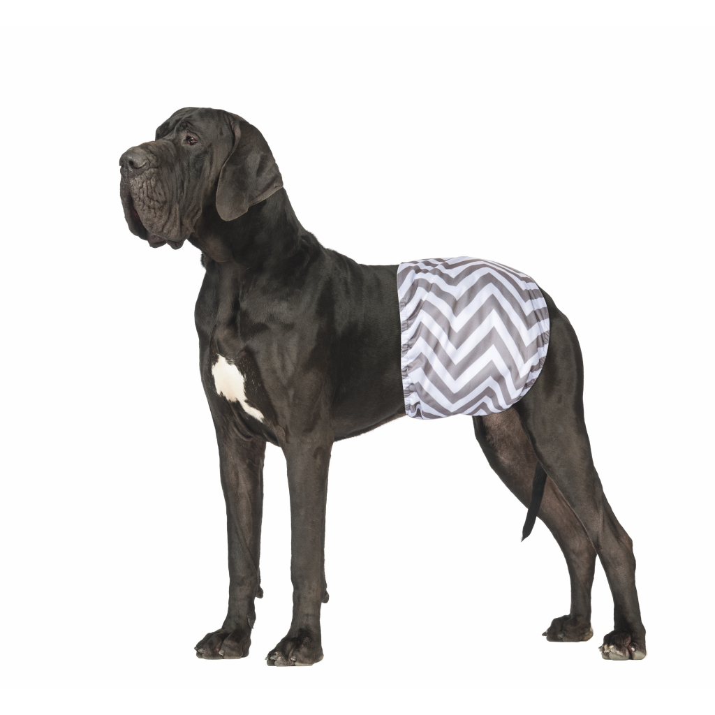 M-Pets Erkek Köpekler İçin Yıkanabilir Külot Bez 73,6x86,3cm (2'li) [XXXL]