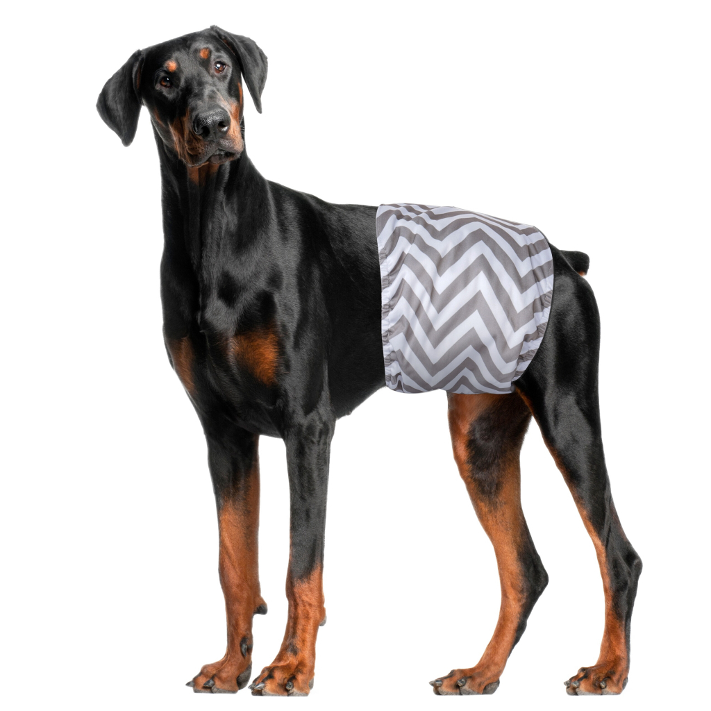 M-Pets Erkek Köpekler İçin Yıkanabilir Külot Bez 63,5-73,6cm [XXL] (2'li)