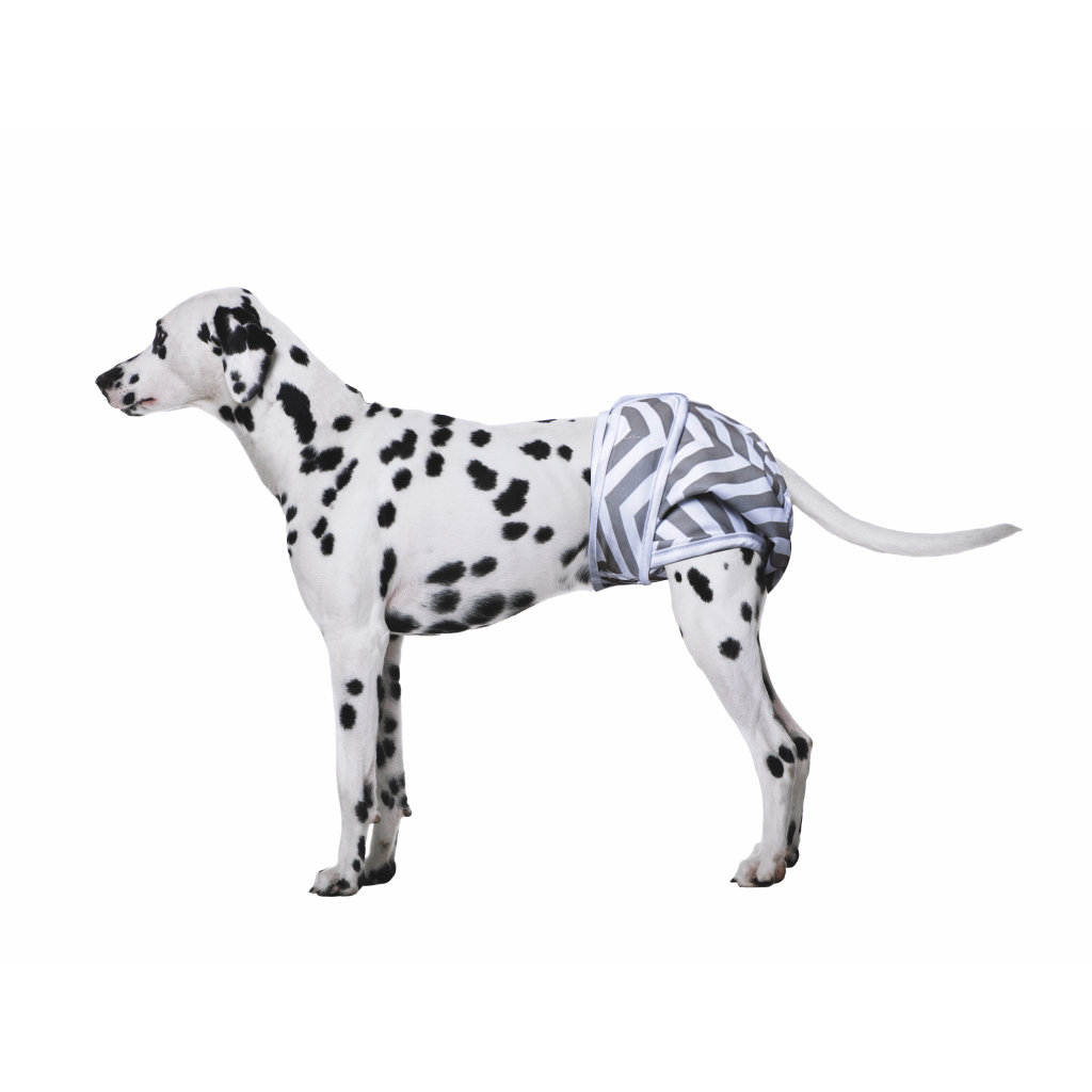 M-Pets Diaper Dişi Köpekler İçin Yıkanabilir Külot Bez 48,2-68,5cm [L] (2'li)