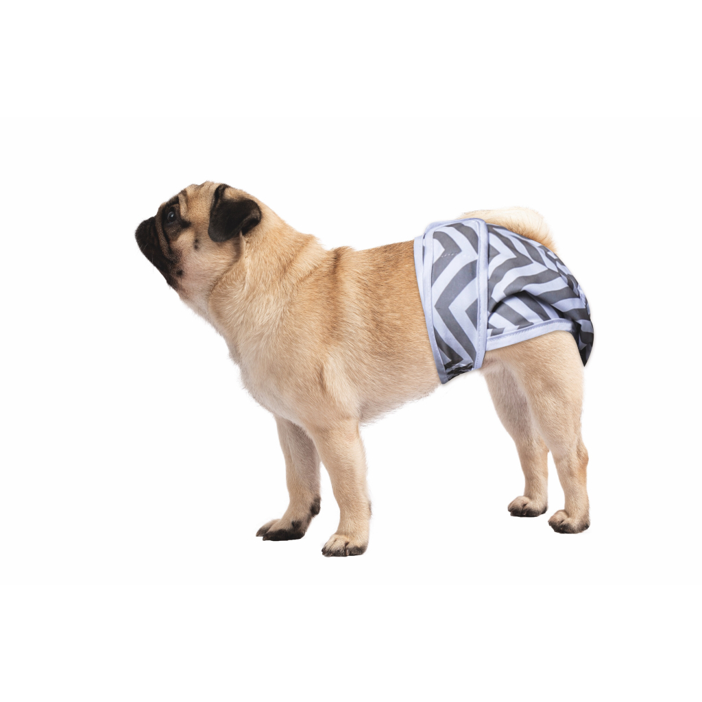 M-Pets Dişi Köpekler İçin Dişi Köpekler İçin Yıkanabilir Külot Bez 35,5-27,9cm (2'li) [M]
