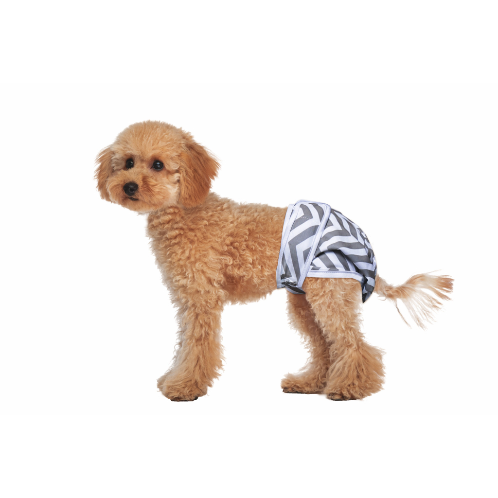 M-Pets Dişi Köpekler İçin Yıkanabilir Külot Bez 22,8-38,1cm (2'li) [S]