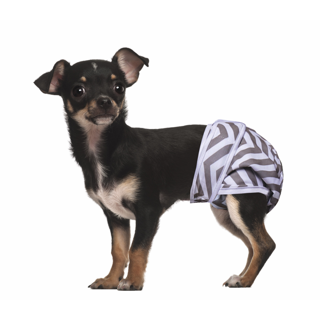 M-Pets Dişi Köpekler İçin Yıkanabilir Külot Bez 25,4cm (2'li) [XS]