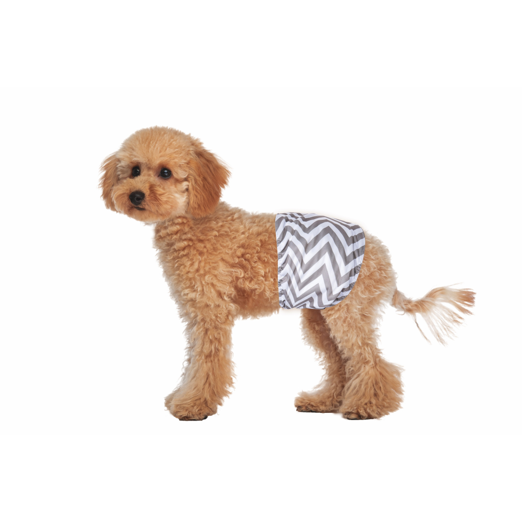 M-Pets Erkek Köpekler İçin Yıkanabilir Külot Bez 25,4x33cm (2'li) [S]