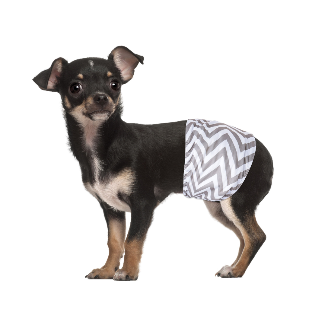 M-Pets Erkek Köpekler İçin Yıkanabilir Külot Bez 17,7x22,8cm (2'li) [XS]