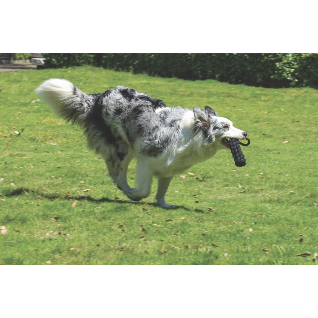 M-Pets Örgü Köpek Diş İpi 34cm (Siyah)