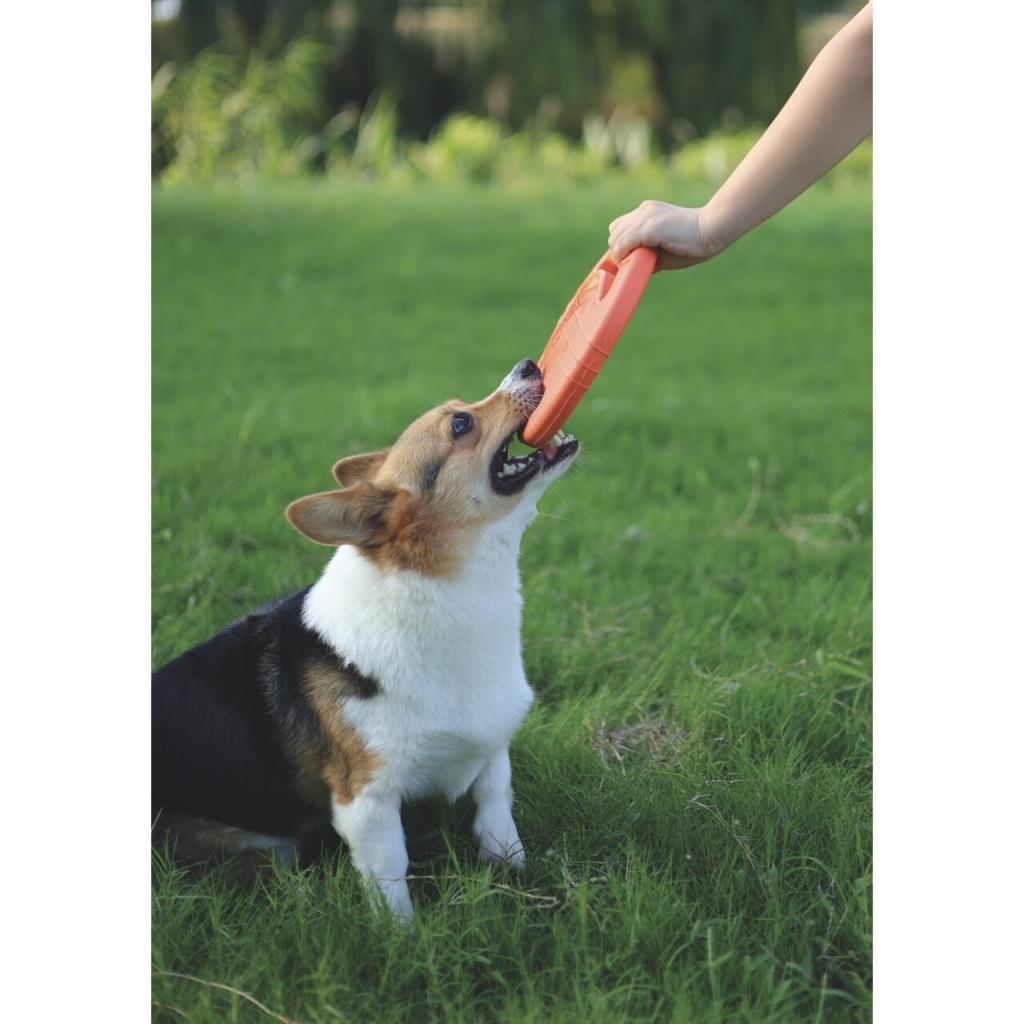 M-Pets Suda Yüzen Frizbi Köpek Oyuncağı 23x23x3cm