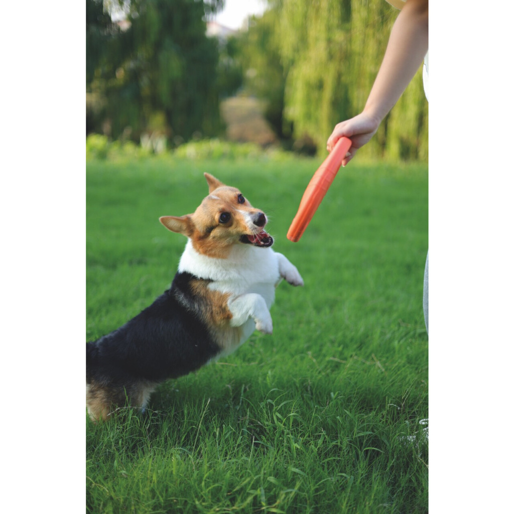 M-Pets Suda Yüzen Frizbi Köpek Oyuncağı 23x23x3cm