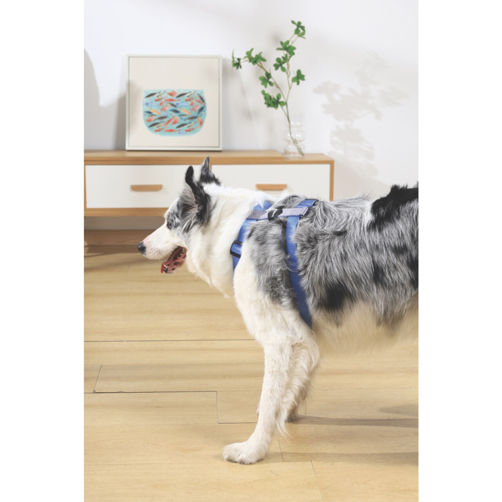 M-Pets Gentle Köpek Göğüs Tasması 58–83cm (Mavi) [M]