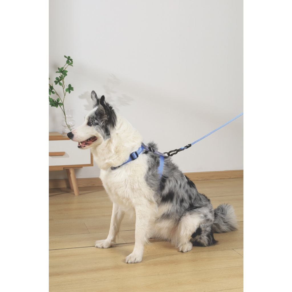 M-Pets Gentle Köpek Göğüs Tasması 58–83cm (Mavi) [M]