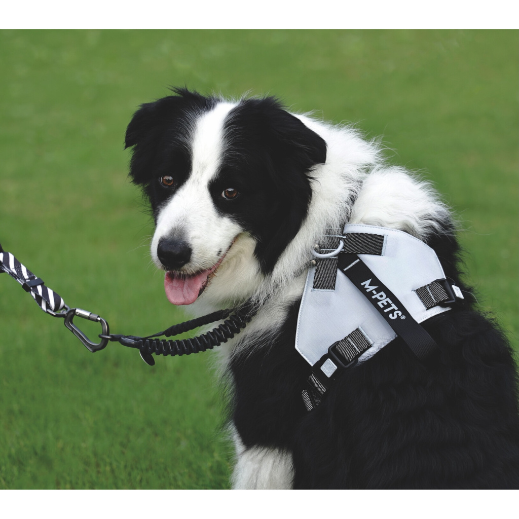 M-Pets Origami Reflektörlü Köpek Göğüs Tasması 37–81cm (Mavi) [L]