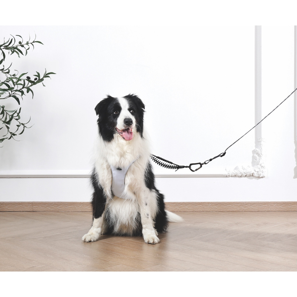 M-Pets Origami Reflektörlü Köpek Göğüs Tasması 37–81cm (Mavi) [L]