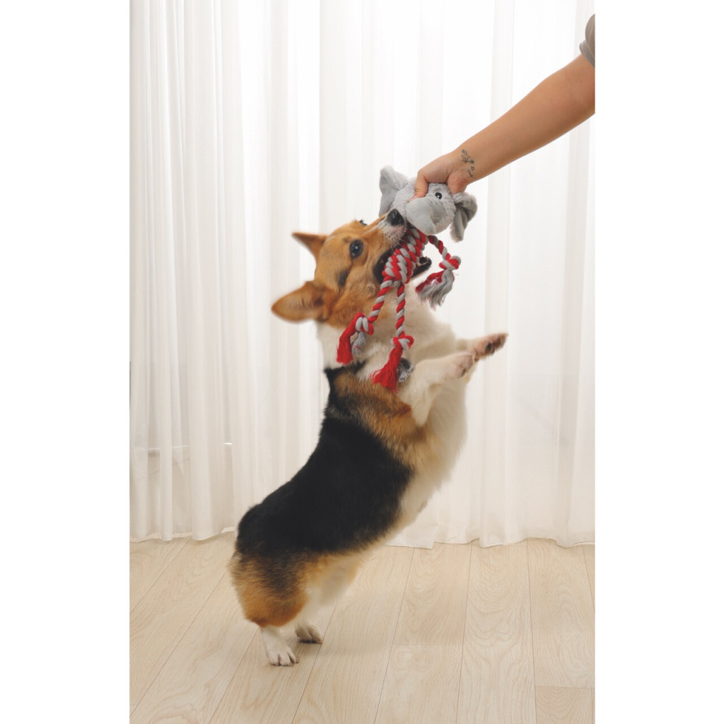 M-Pets Bailey Köpek Oyuncağı 33x26x10cm