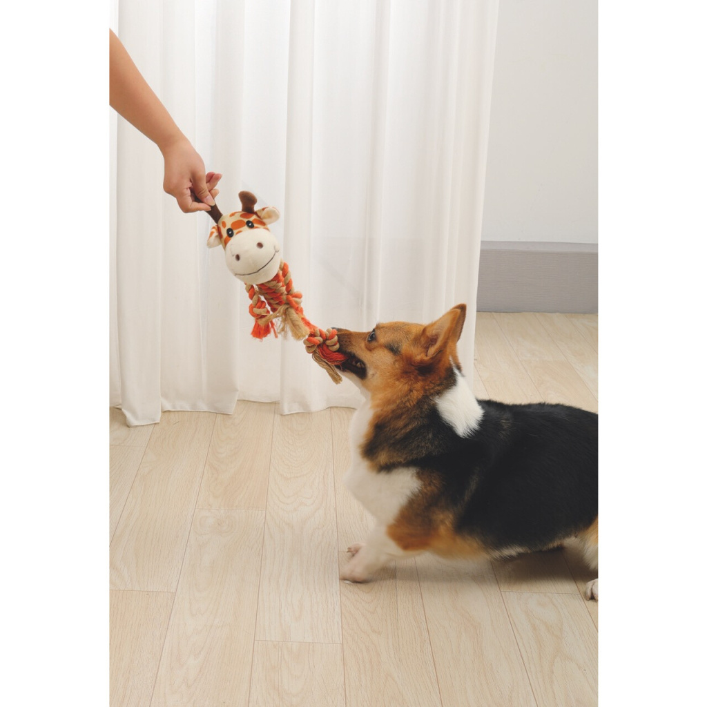 M-Pets Zia Köpek Oyuncağı 33x26x10cm