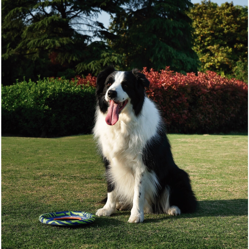 M-Pets Sprintpuff Frisbee Köpek Oyuncağı 24cm (Mavi-Yeşil)