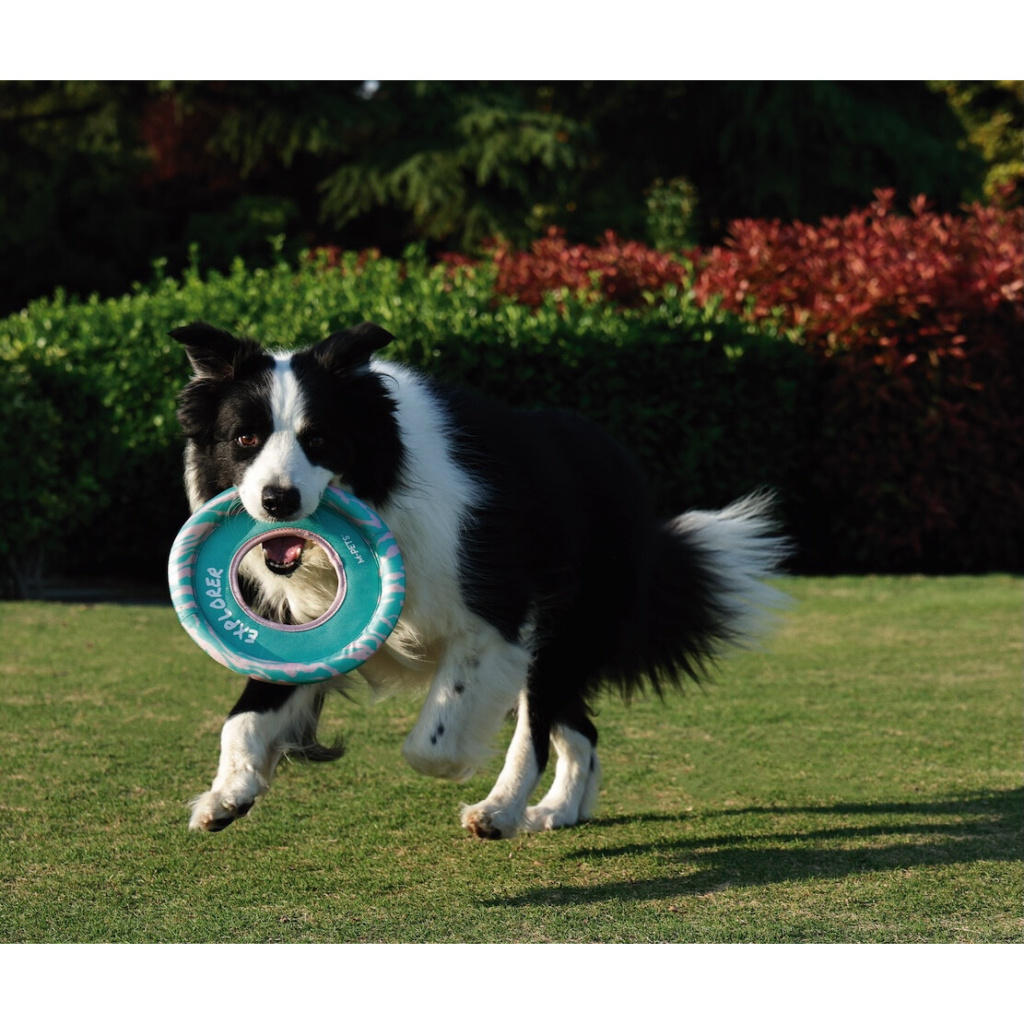 M-Pets Sprintpuff Frisbee Köpek Oyuncağı 24cm (Yeşil)