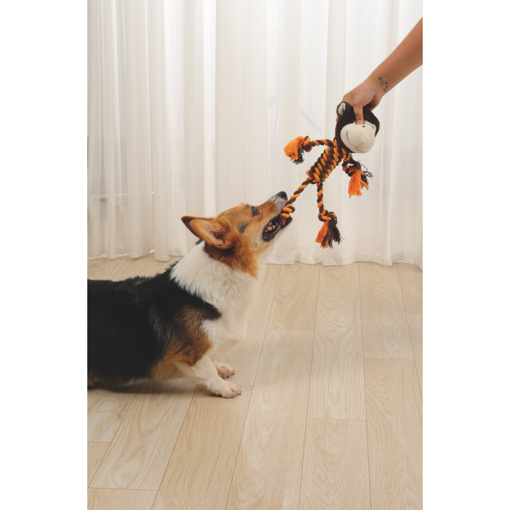 M-Pets Shelly Köpek Oyuncağı 33x26x10cm