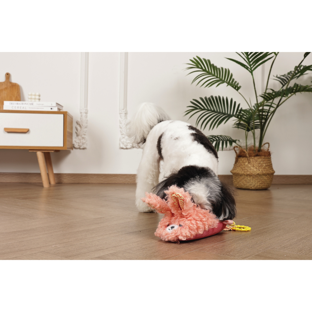 M-Pets Slippers Bunny Köpek Oyuncağı 27x16x5cm (Pembe)
