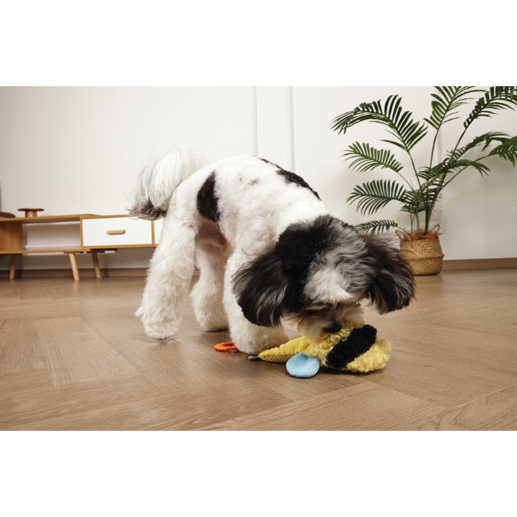M-Pets Slippers Bee Köpek Oyuncağı 27x16x5cm (Sarı)