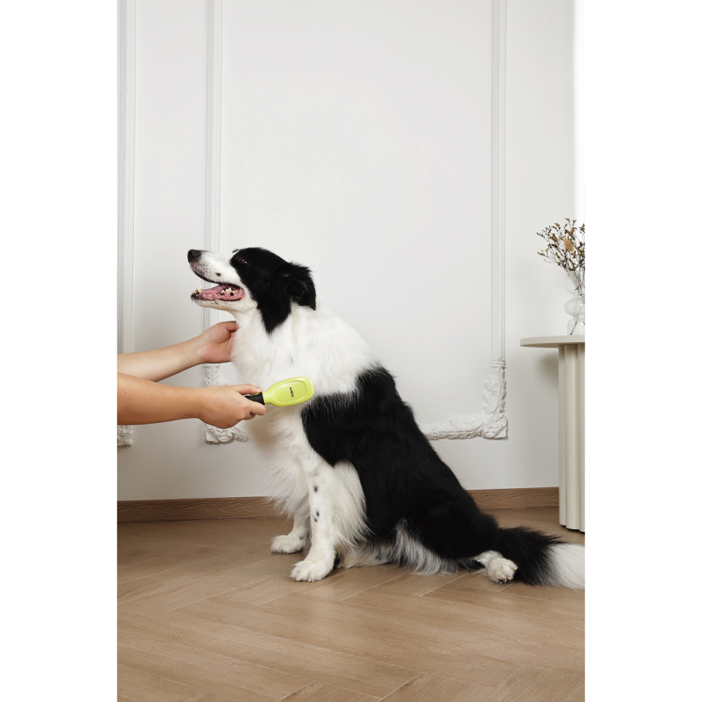 M-Pets Click and Groom Kedi ve Köpekler İçin Masaj Uçlu Fırça 22x5,2x4,4cm