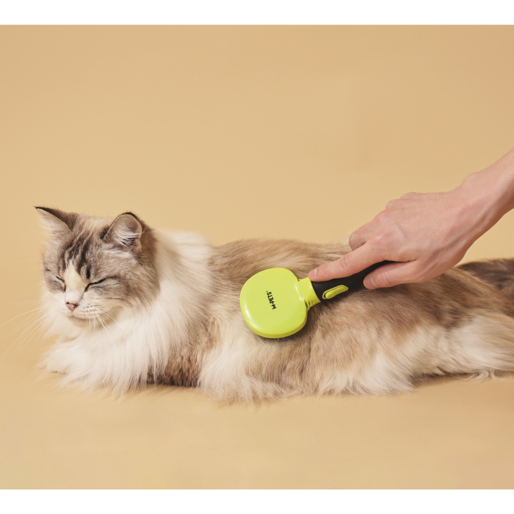 M-Pets Click and Groom Kedi ve Köpekler İçin Masaj Uçlu Fırça 8x6,5x5cm