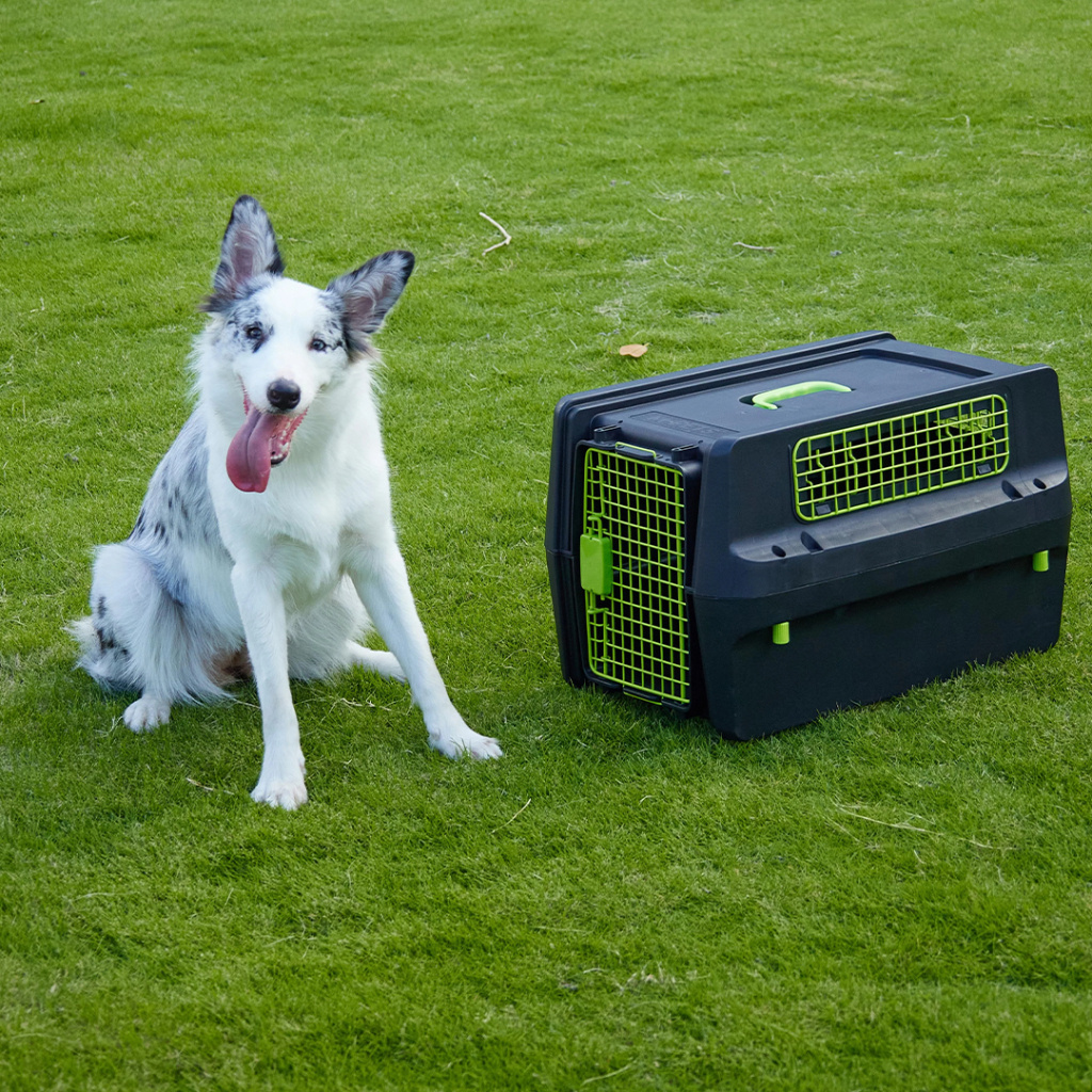M-Pets Premium Eco Trek Lata Köpek Taşıma Çantası 58,5x39x35cm [S]