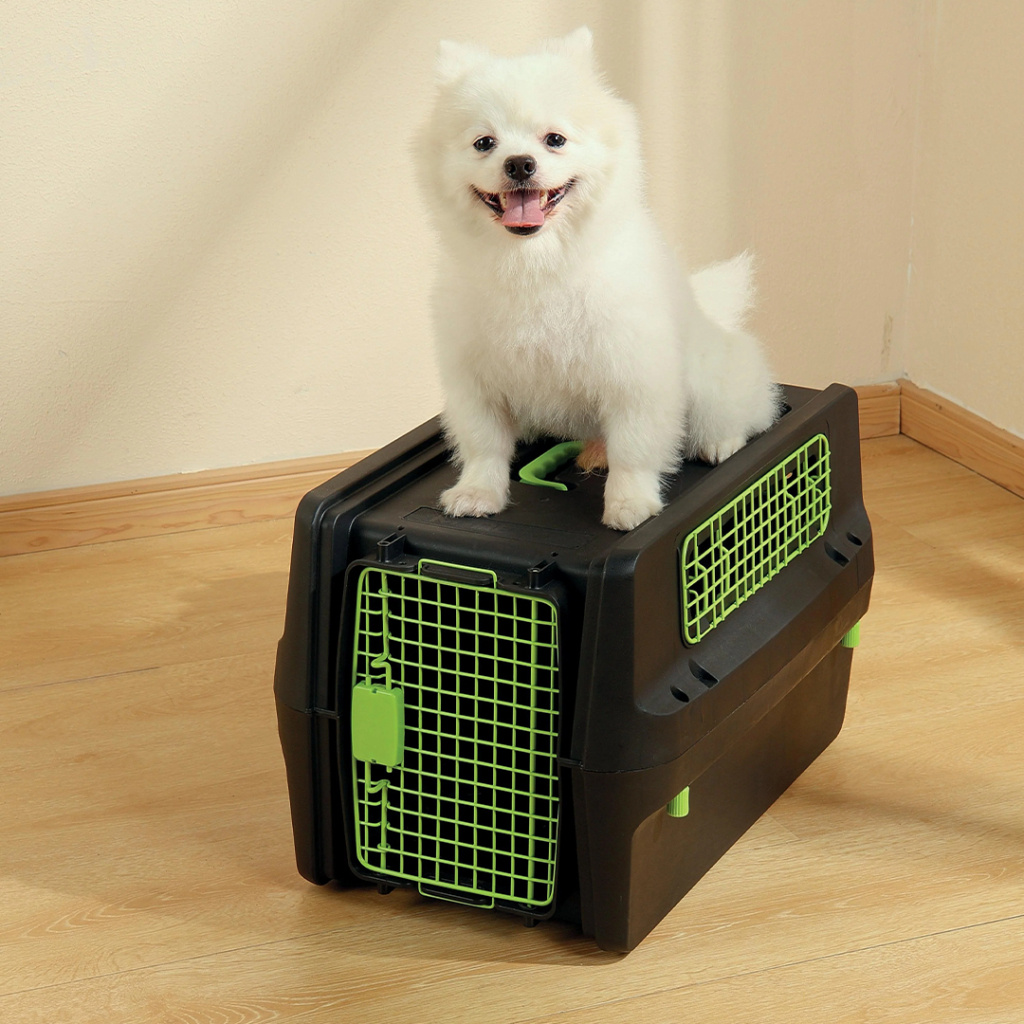 M-Pets Premium Eco Trek Lata Köpek Taşıma Çantası 58,5x39x35cm [S]