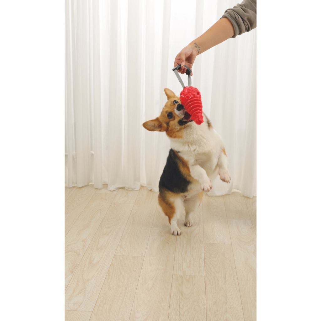 M-Pets Drogo Ödül Hazneli Köpek Oyuncağı 18x8,5x8,5cm (Turuncu)