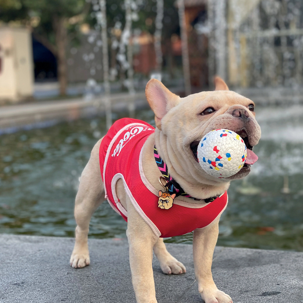 M-Pets Bloom Ball Parçalanmaz Top Köpek Oyuncağı 7cm (Beyaz)