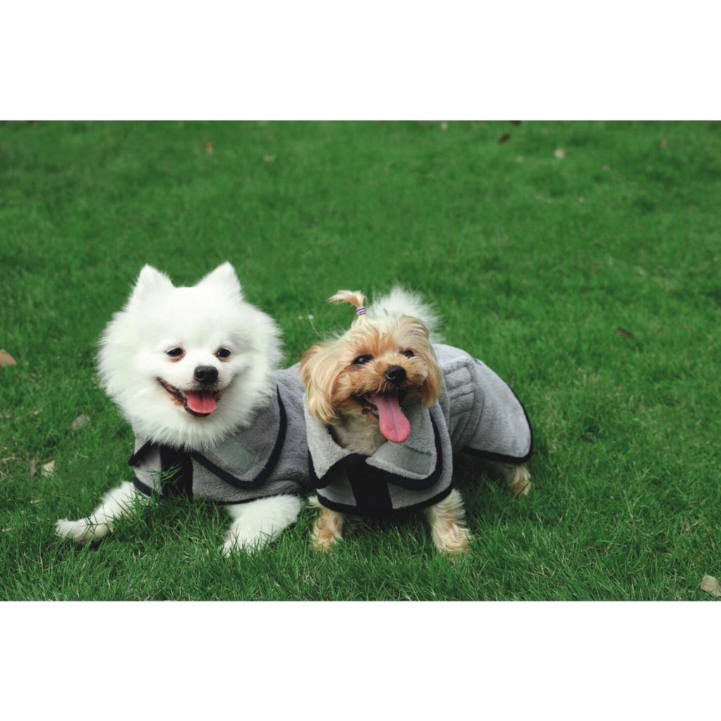 M-Pets Bath Time Mikrofiber Köpek Bornozu 44–61cm [M]