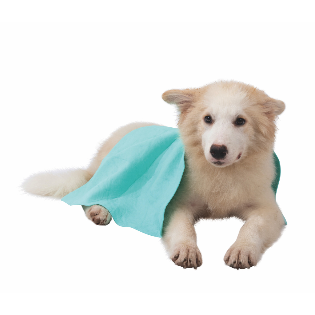 M-Pets Bathtime Hızlı Kuruyan Kedi ve Köpek Havlusu 64x43cm (Yeşil)