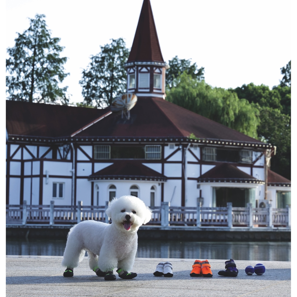 M-Pets Flexi Köpek Ayakkabısı (Mor) [S]