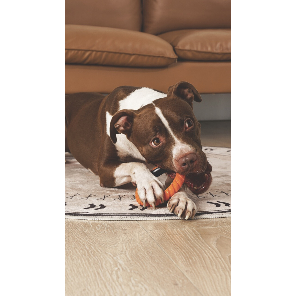 M-Pets Single Ring King Köpek Oyuncağı (Turuncu)