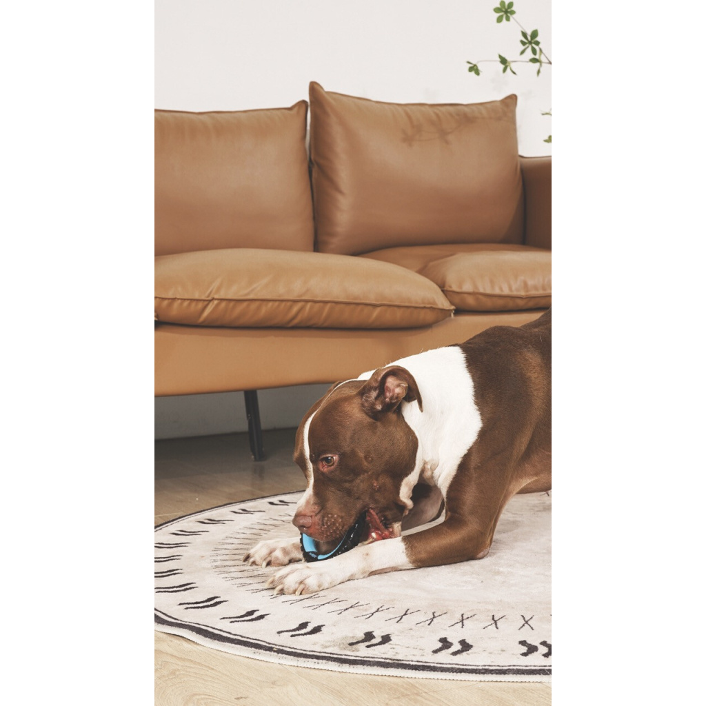 M-Pets Single Ring King Köpek Oyuncağı (Mavi)