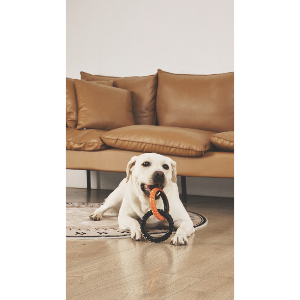 M-Pets Double Ring King Köpek Oyuncağı (2'li)