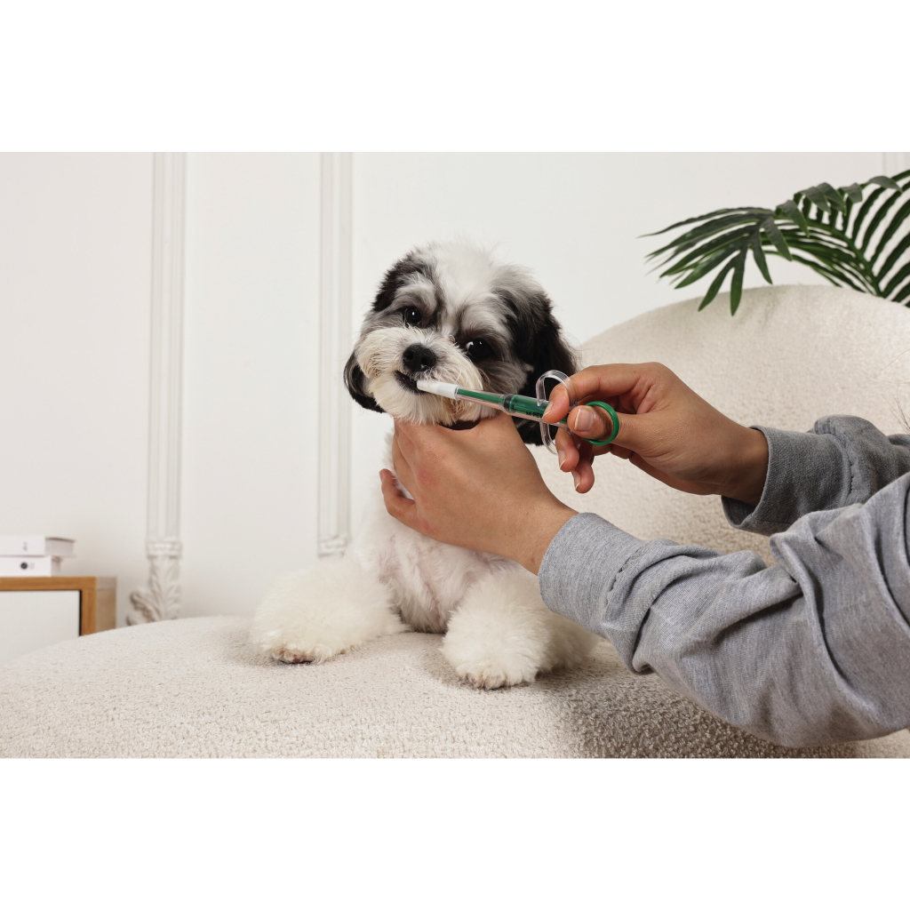 M-Pets Procare Kedi ve Köpekler İçin İlaç Enjektörü