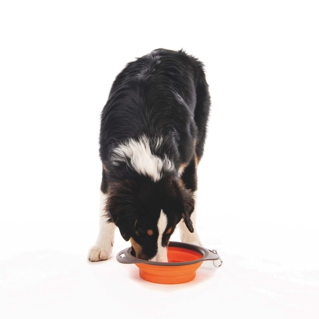 M-Pets Köpekler için Plastik Katlanabilir Mama ve Su Kabı 1230ml (Turuncu) [L]