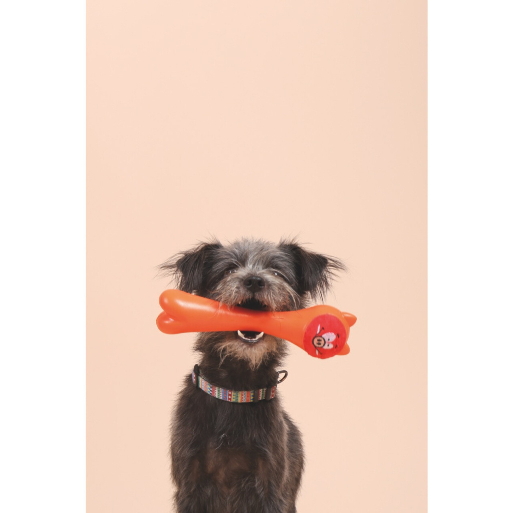 M-Pets Rob Ödül Hazneli Köpek Oyuncağı 23,5x6,5x6,5cm (Turuncu)