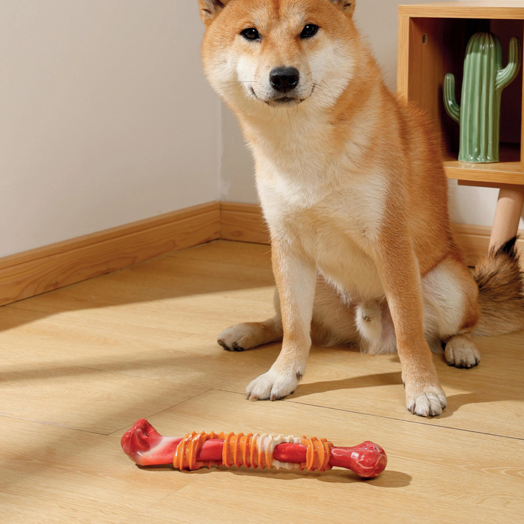 M-Pets Carnivore Stick Bone Pastırma Aromalı Kemik Köpek Oyuncağı 25,4x5,5x4,8cm (Kırmızı)