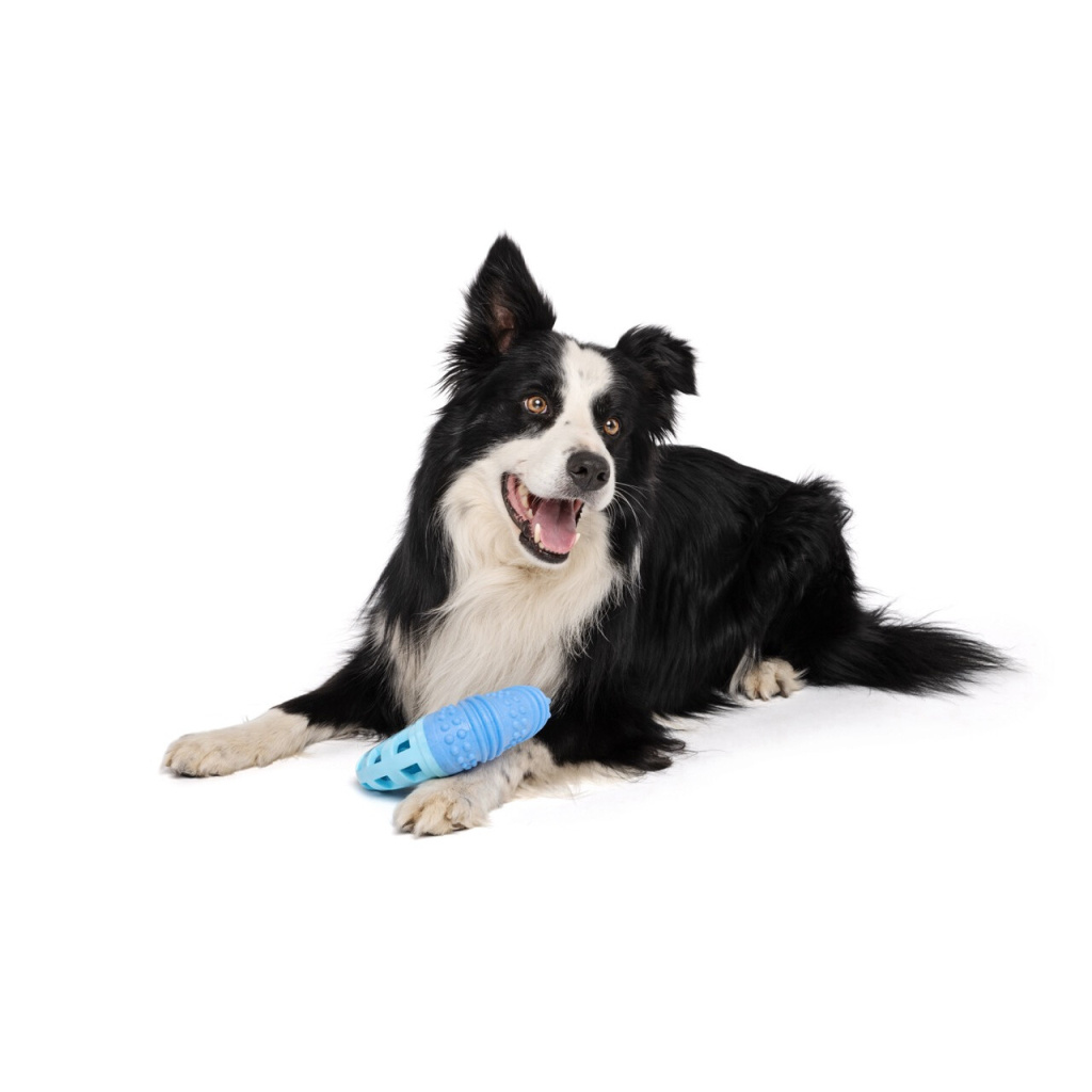 M-Pets Vice Versa Boomerang Tavuk Aromalı Köpek Oyuncağı 5,61x10,92x17,78cm