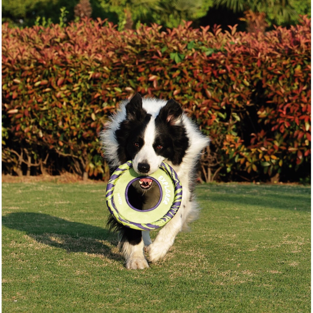 M-Pets Sprintpuff Frisbee Köpek Oyuncağı 24cm (Mor-Yeşil)