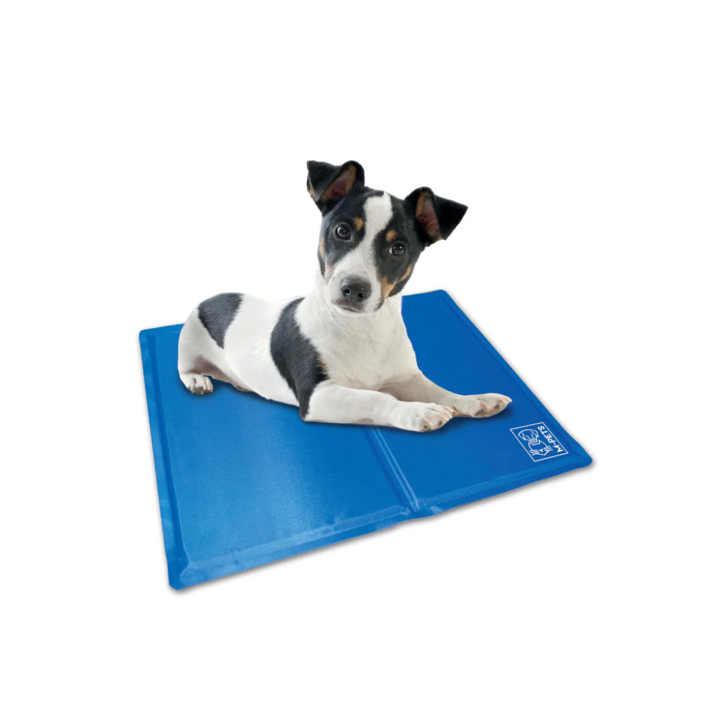 M-Pets Frozen Serinletici Köpek Yatağı 40x50cm [S]