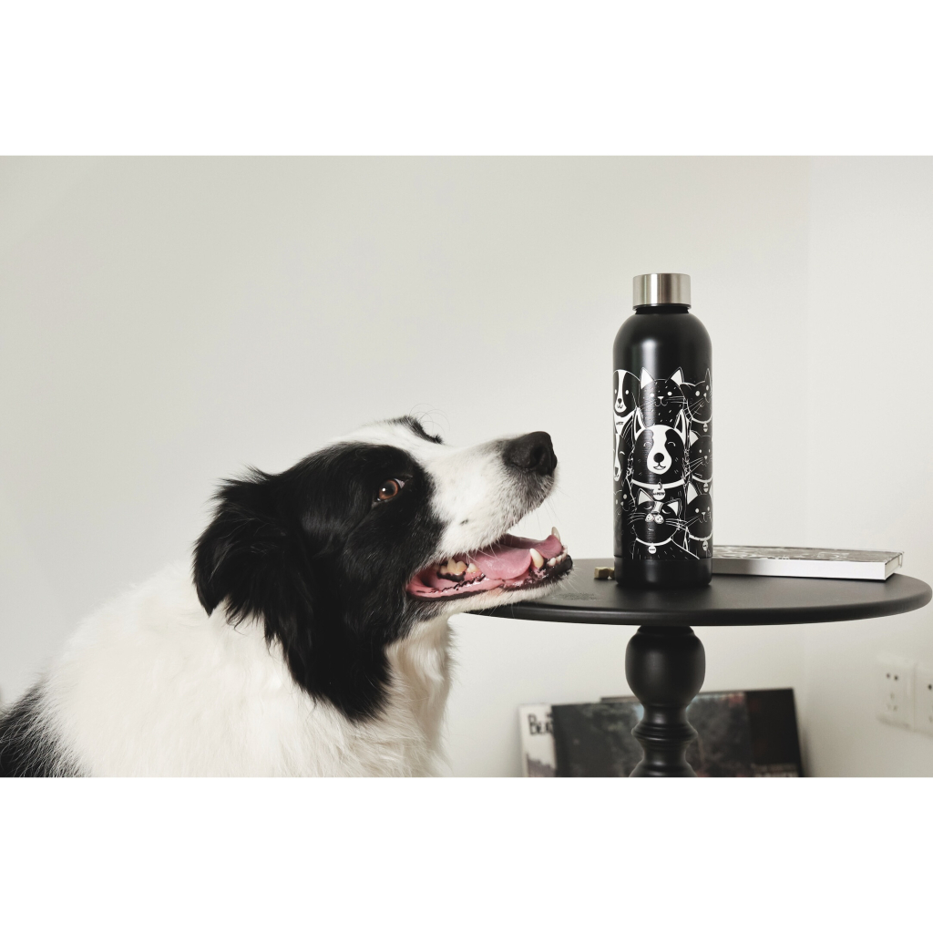 M-Pets Petjoy Purrfect Petfamily Kedi ve Köpek Desenli Seyahat Termosu 500ml (Siyah Beyaz)