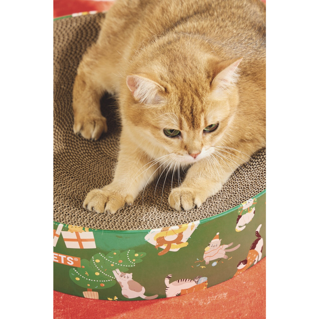 M-Pets Christmas Frosty Mix Kedi Tırmalama Kartonu 41x10cm