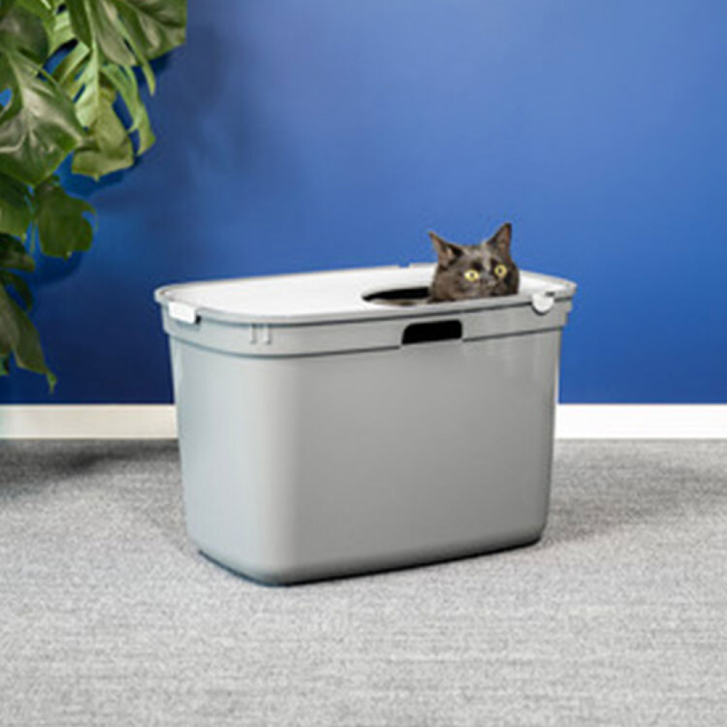Moderna Top Cat Üstten Girişli Kapalı Kedi Tuvaleti 59cm (Koyu Gri)