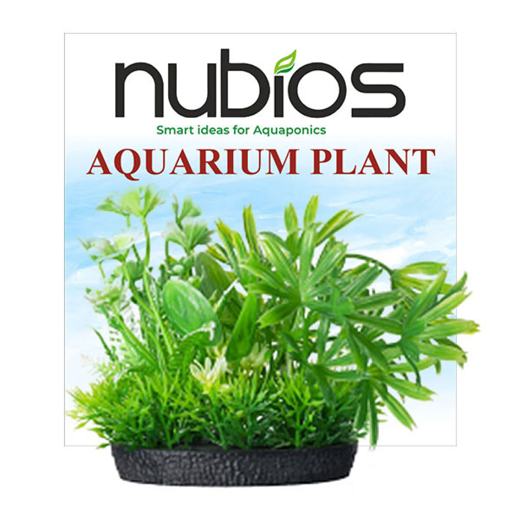 Nubios Q406 Kare Tabanlı Plastik Bitkili Akvaryum Dekoru 10cm