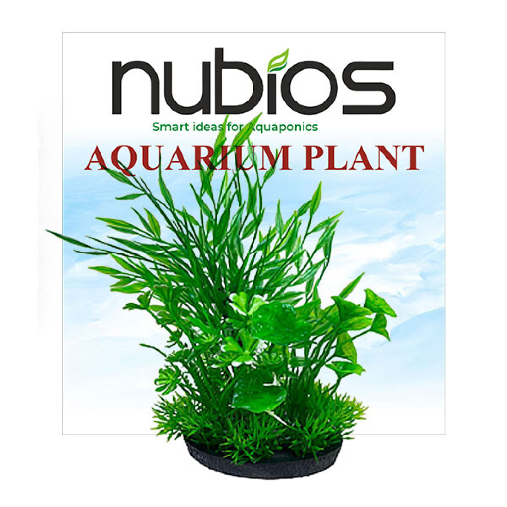 Nubios Q735 Kare Tabanlı Plastik Bitkili Akvaryum Dekoru 17,5cm